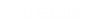山东国研